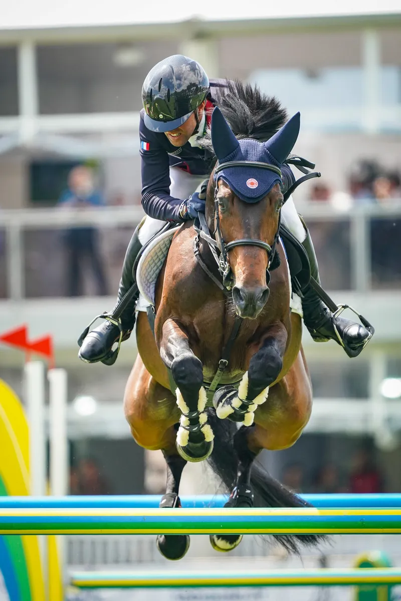 Digne fils de son père, Cayman Jolly Jumper s'est montré plus qu'à son aise lors du CSIO 5* de La Baule, en mai.