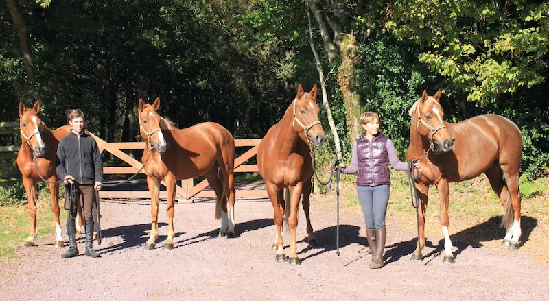 Alexandra et Yoann Lepage posent ici avec Unladylike, Airelle Flamingo, Belinda Flamingo et Boubelina Flamingo, les quatre filles de Nangaye à l’élevage chez eux.