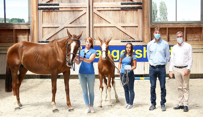 Quatrième du Z-Festival de Deauville, Cash du Forézan (Z, Casall) a été vendu 54.000 euros à un étalonnier allemand.