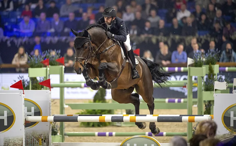 Après avoir acquis Vivald’Ick, Luc Henry a aussi acheté sa mère, Quasibelle du Seigneur, qui n’est autre que la sœur de London, Taran de la Pomme, Golden Hawk et tant d’autres très bons chevaux.