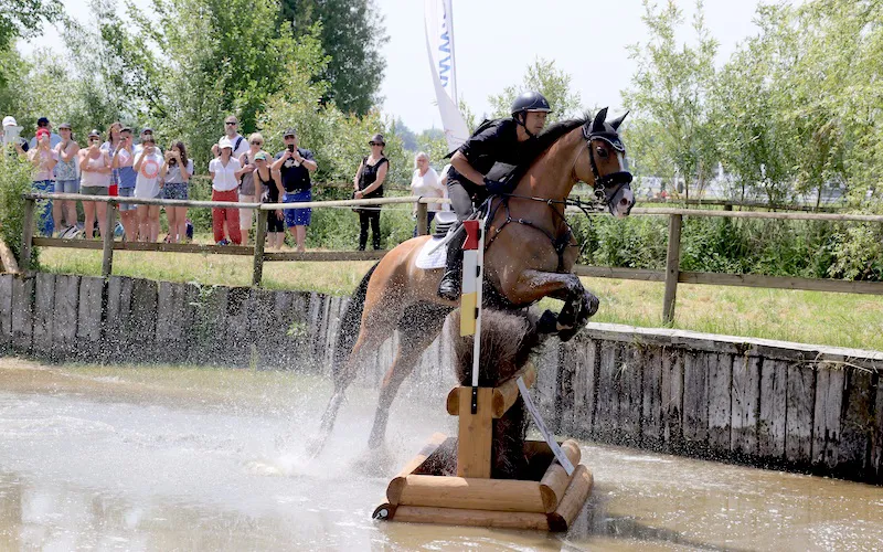 Thibaut Vallette et Qing du Briot*IFCE.