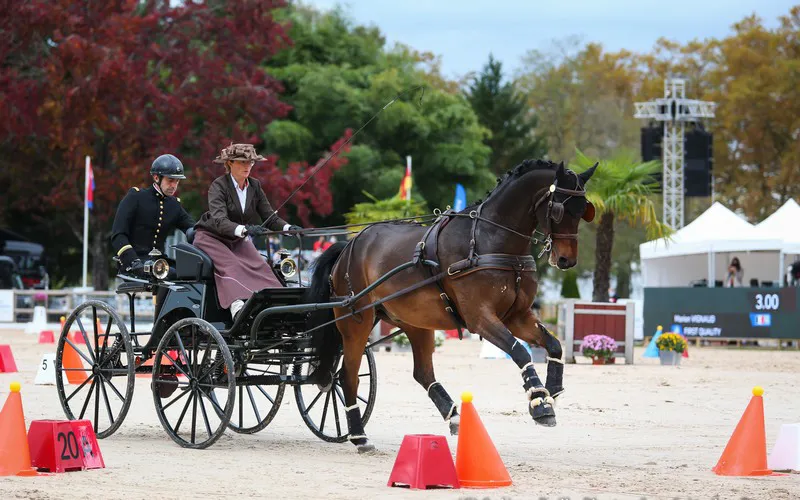Marion Vignaud et First Quality.