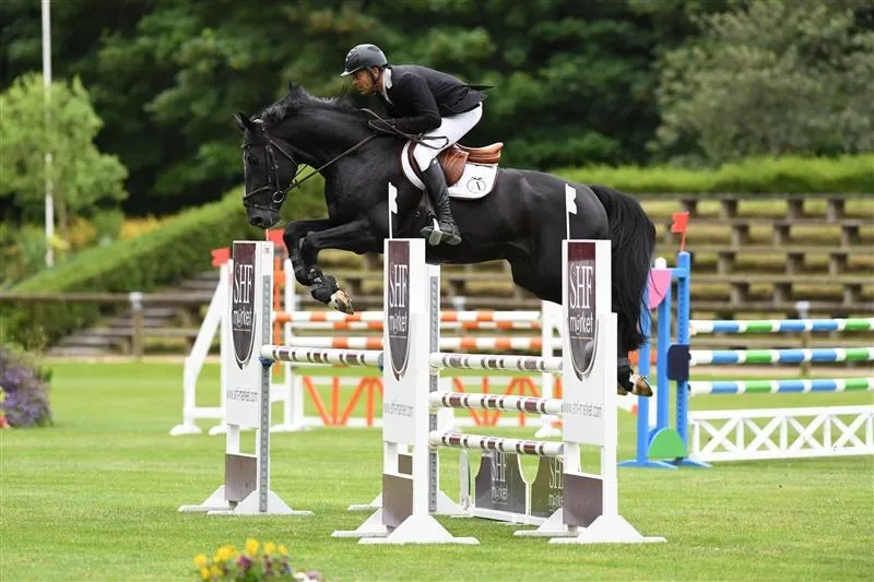 Darkhorse Brimbelles, âgé de cinq ans, à Compiègne lors d’un concours SHF sous la selle de Séverin Sigaud.