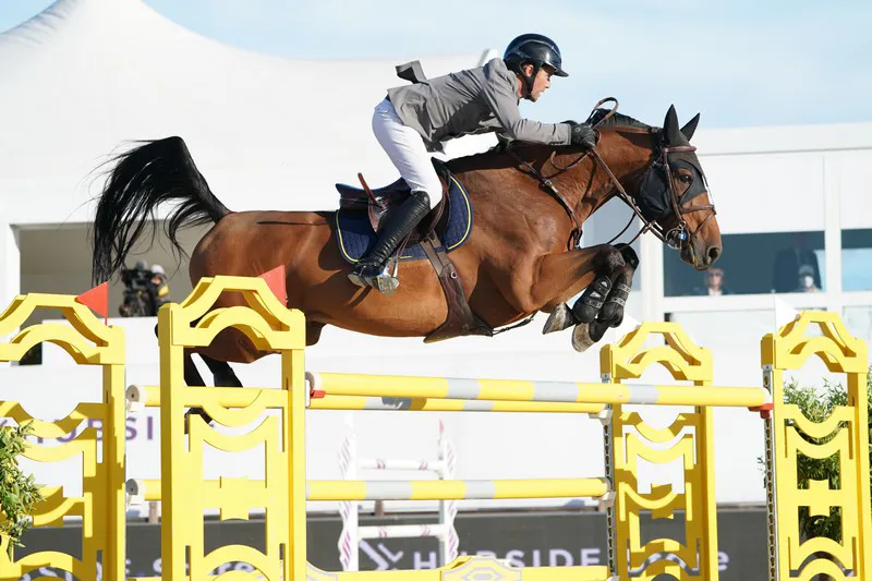 Vital Chance*de la Roque sous la selle de Marc Dilasser.