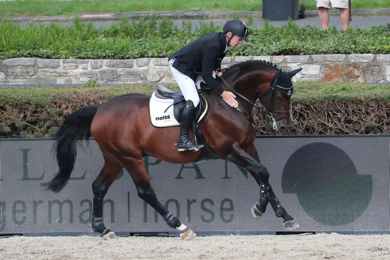 Stargold a bien mérité sa caresse.