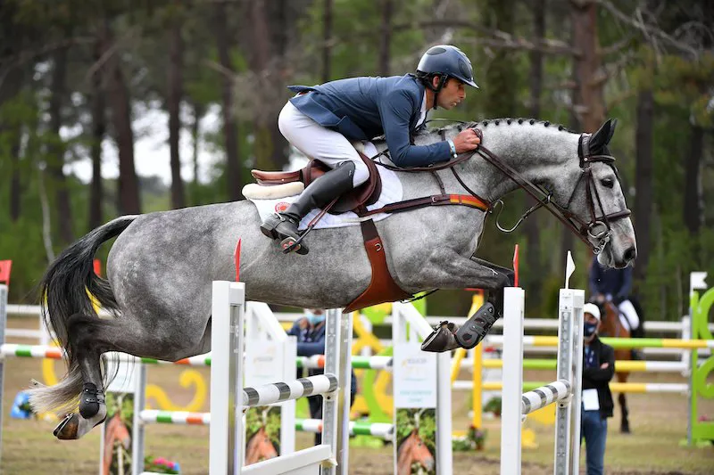 Astier Nicolas et Babylon de Gamma.