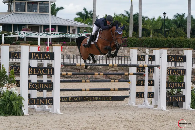 Le Selle Français Un Diamant des Forêts a de nouveau été performant.