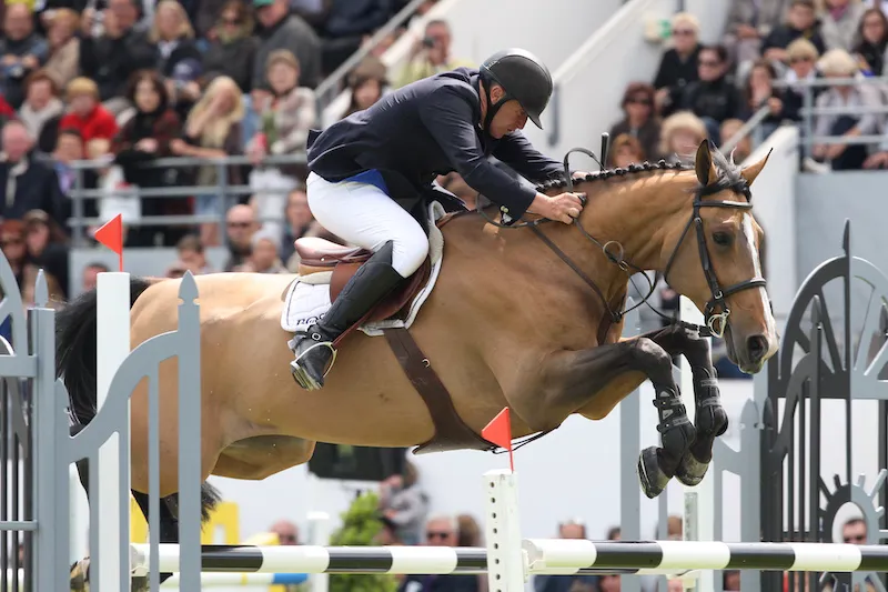 Nifrane en 2011 au CSIO 5* de La Baule.