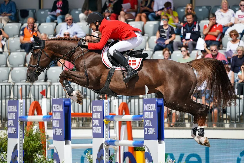 Ici aux championnats d’Europe Longines de Rotterdam en 2019 avec le Danois Søren Møller Rohde, l’étalon Todt un Prince, meilleur fils de Klaire, dégage beaucoup de puissance.