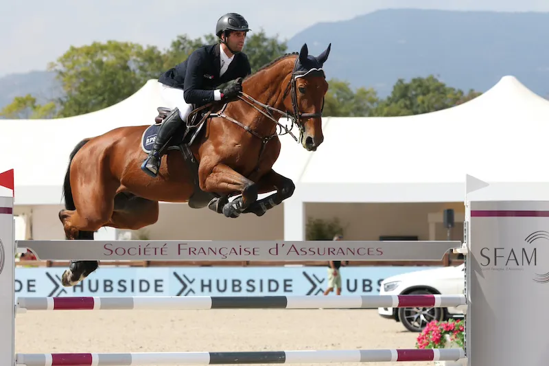 Complice de Julien Anquetin depuis décembre 2018, l’expérimenté Gravity of Greenhill, ici en concours à Grimaud, a offert à son cavalier un nouveau classement en Grand Prix lors du CSI 4* de Salzbourg.