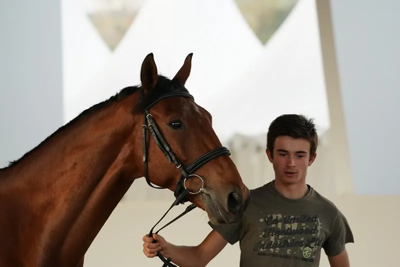 Antoine Ermann peut aussi compter sur Beryl des Prés, qui montre de bonnes choses jusqu'à 1,45m. 
