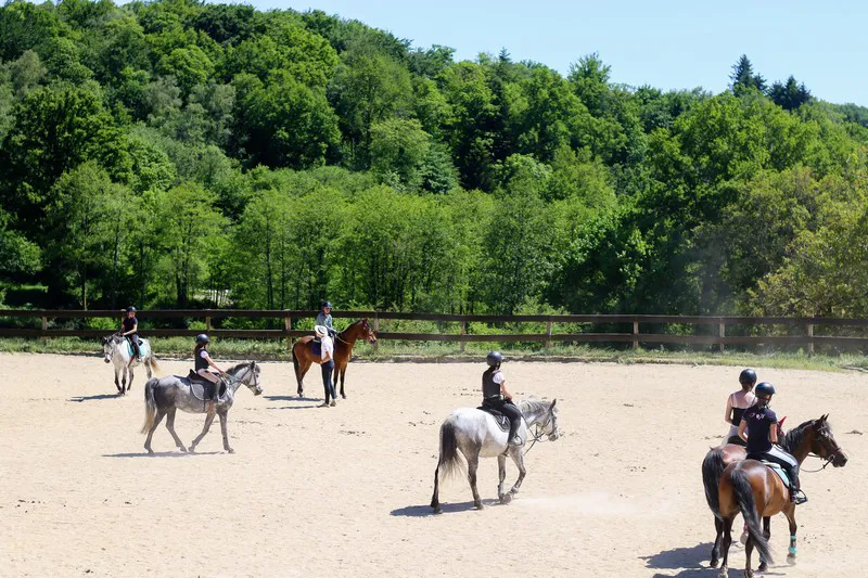 Les licenciés du poney-club se préparent déjà pour 2021.