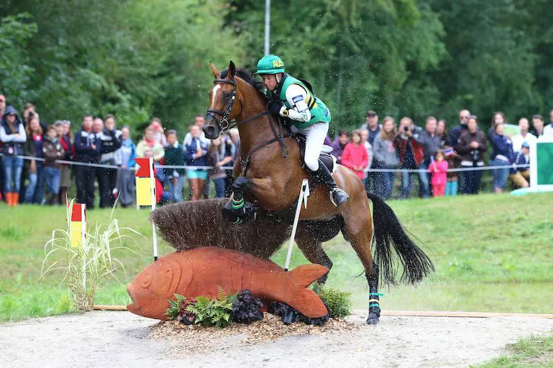On retrouve le couple sur l’obstacle de cross le plus difficile des Jeux équestres mondiaux de Normandie, en 2014 au Haras national du Pin.