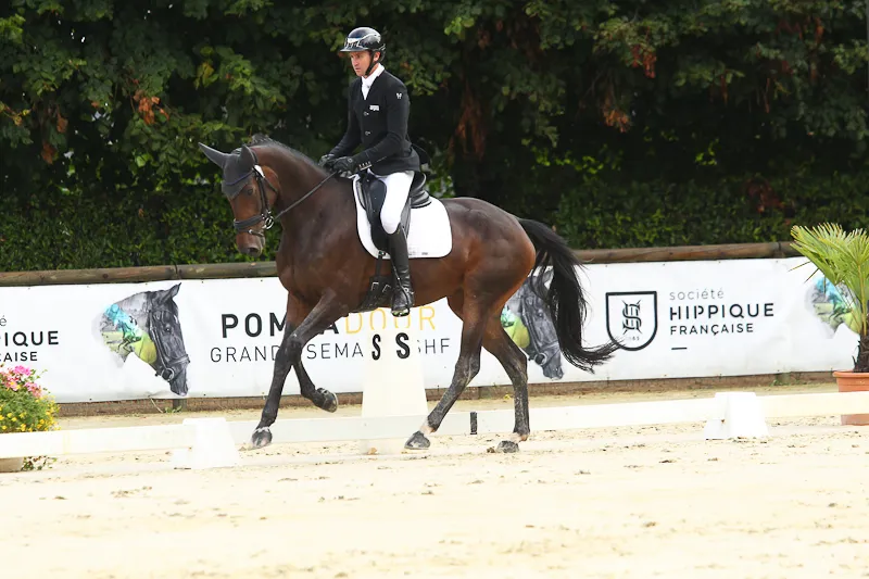 Birmane une favorite pour les 5 ans
