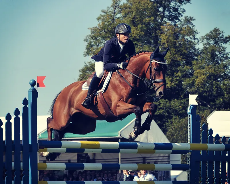 Michael Jung a signé un sans-faute sans trembler, cet après-midi.