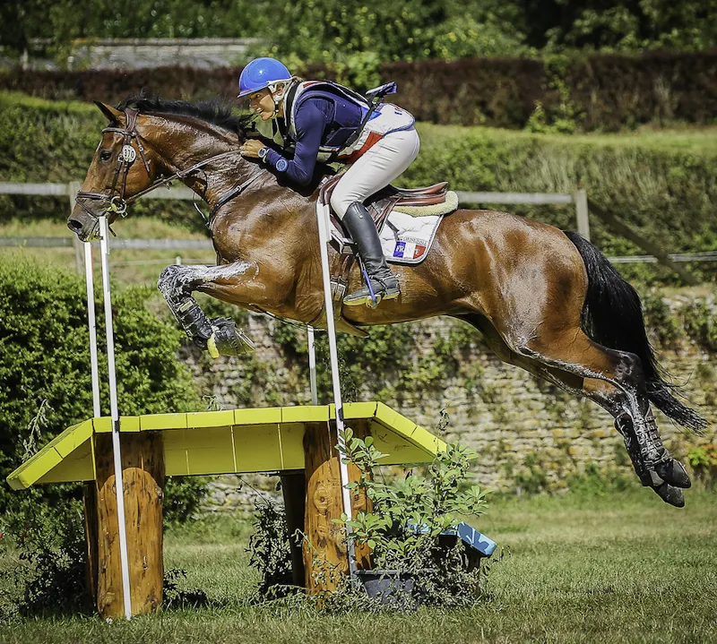 Darmani (Conrad), sœur utérine d’Hypnose, aborde les CCI 3* avec Hélène Vattier.