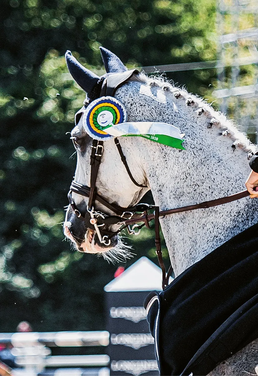 Les courroies de liaison ou alliances, qui relient deux anneaux du même côté d’un mors (p. ex. pelham) sont autorisées dans toutes les catégories pour autant que la liaison ne provoque pas une restriction de fonction ou un dysfonctionnement du mors, qui pourrait avoir un effet négatif sur le cheval. Les disques en matière synthétique ou en caoutchouc qui peuvent être mis entre les commissures des lèvres du cheval et l’anneau du mors sont autorisés. Ils doivent être identiques des deux côtés. La partie intérieure (le côté qui touche le cheval) doit être lisse. 