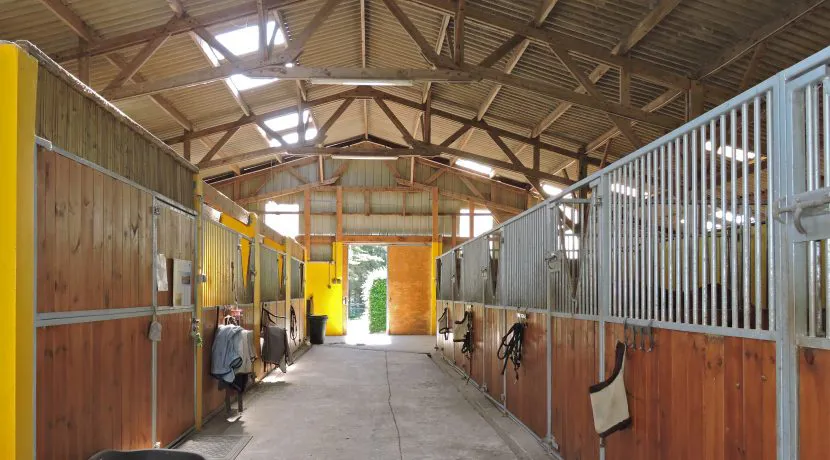 Crédit : Horse Immo
