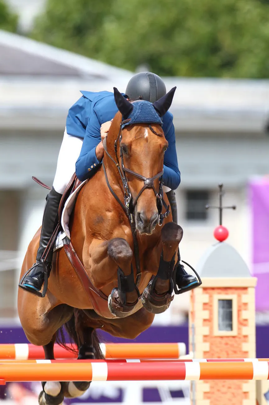 Olivier Guillon et Lord de Theizé aux Jeux olympiques de Londres.
