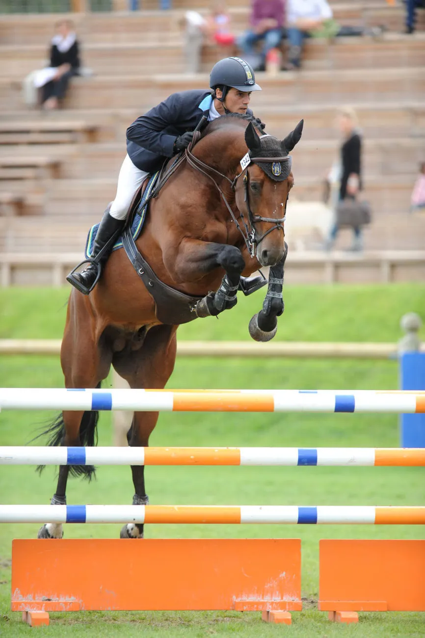 Duarte Romao et Safari d'Auge, le crack de Julien Epaillard, en 2011 à Fontainebleau.