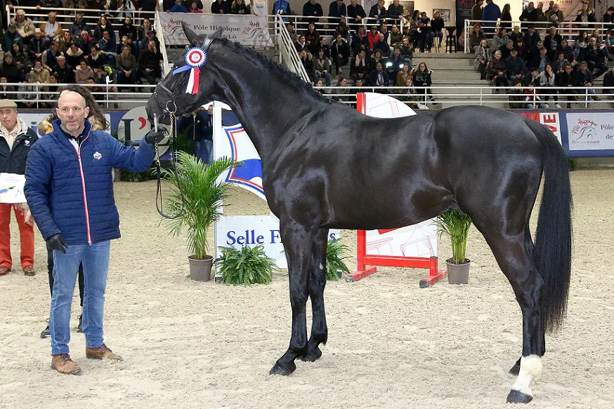 Hollister du Plantey