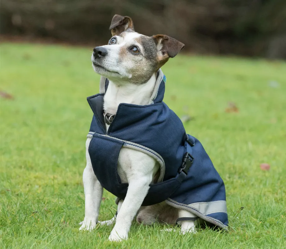 Couverture pour chien thérapeutique Bucas