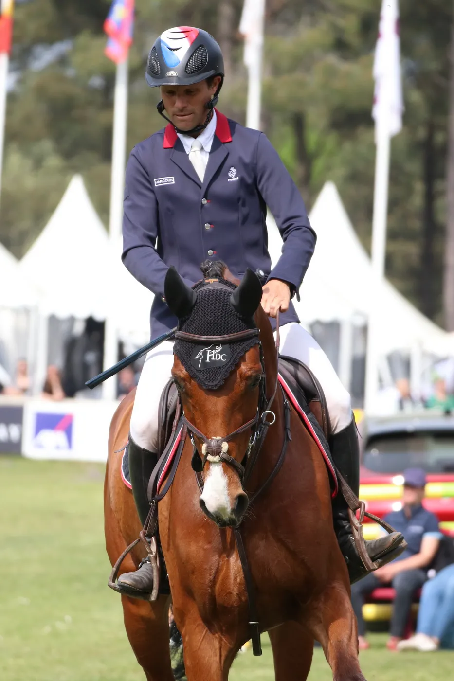 Fibonacci de Lessac*HDC, ici à Saumur, a terminé deuxième du Mondial des six ans l'an passé.