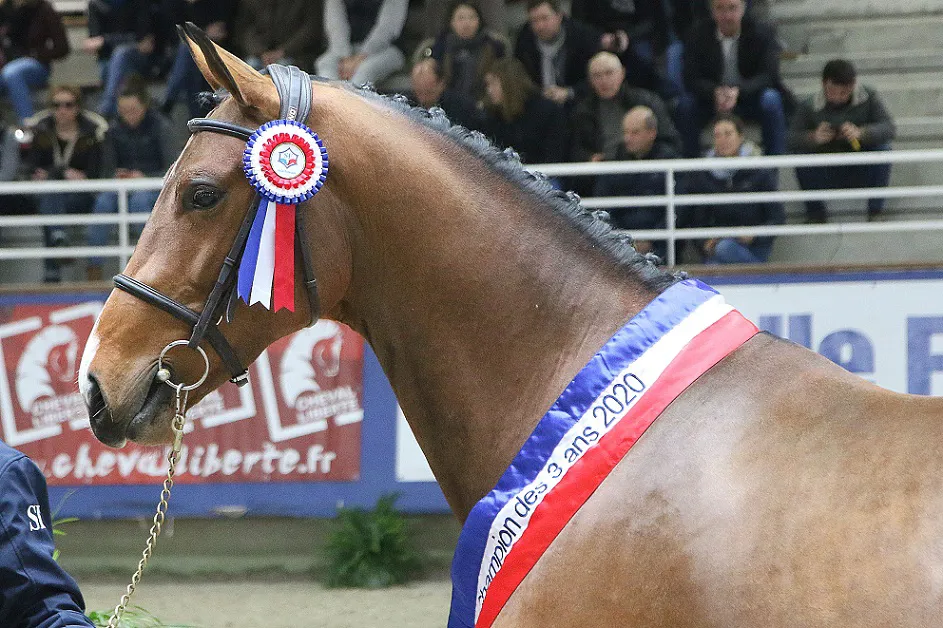 Hors Norme du Lavoir