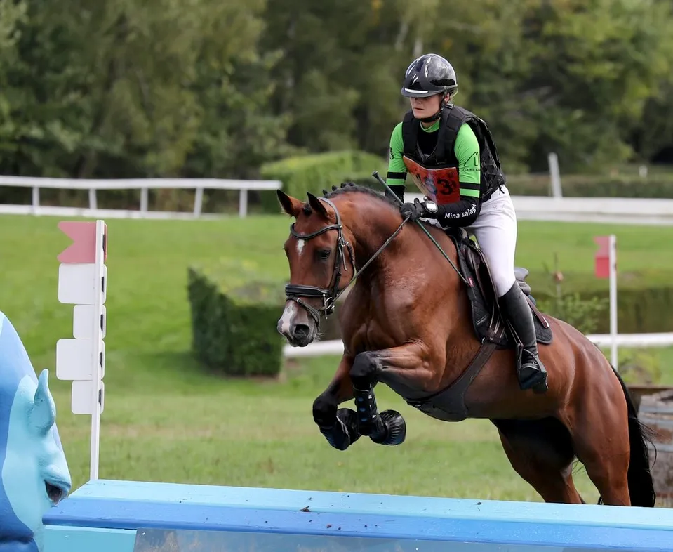 Lady Apple du Caires, vice-championne de France avec Mina Saiagh, provient de la même souche que l’ultra-compétitif Creedance de Kent Farrington.