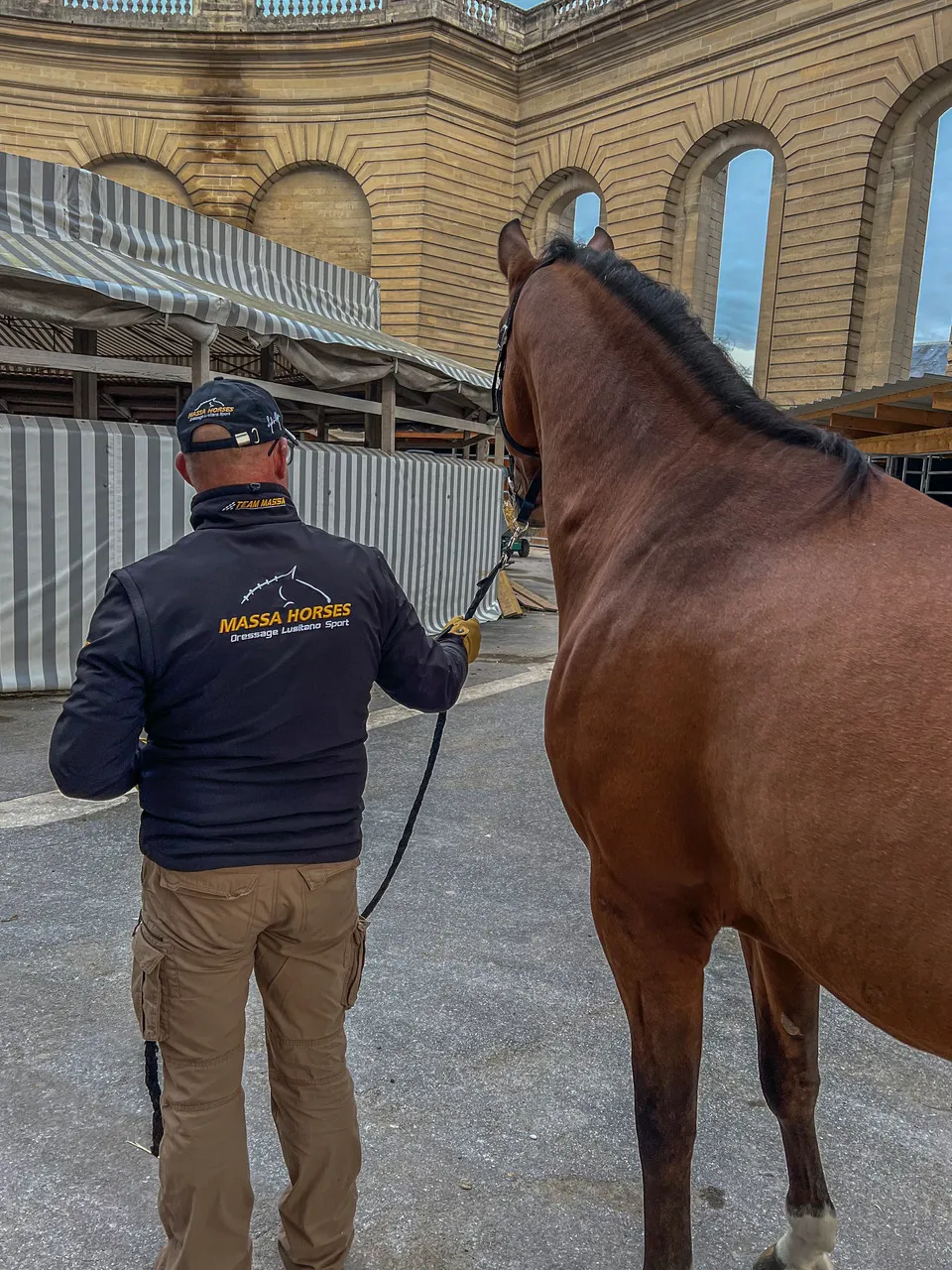 À son arrivée à Chantilly, Ologramme n'a pas montré le moindre signe d'inquiétude, comme s'il était déjà chez lui. 