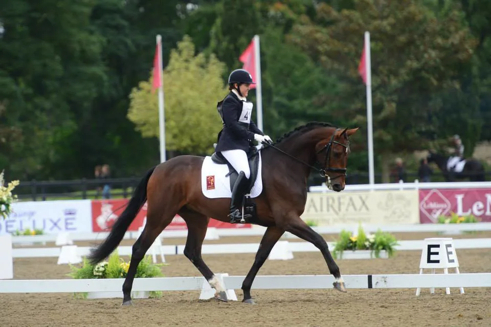 Freestyle a débuté sa carrière de compétitrice sous la selle de sa propriétaire, Emma Blundell. 