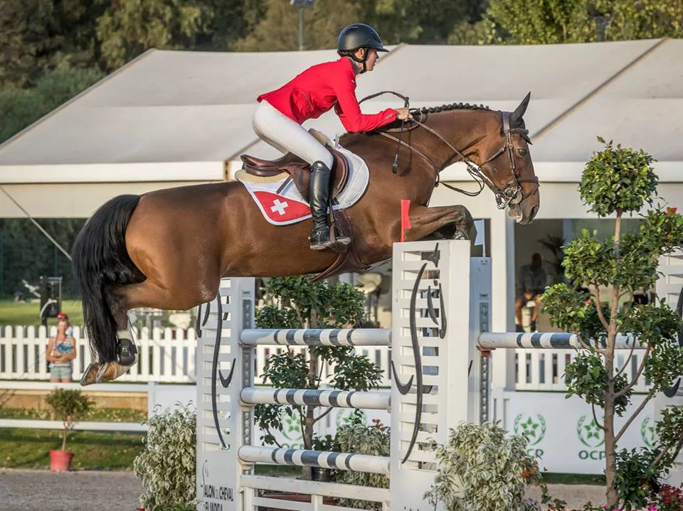 Quelmec du Géry sous la selle d'Aurélia Loser, vingt-deux ans seulement.