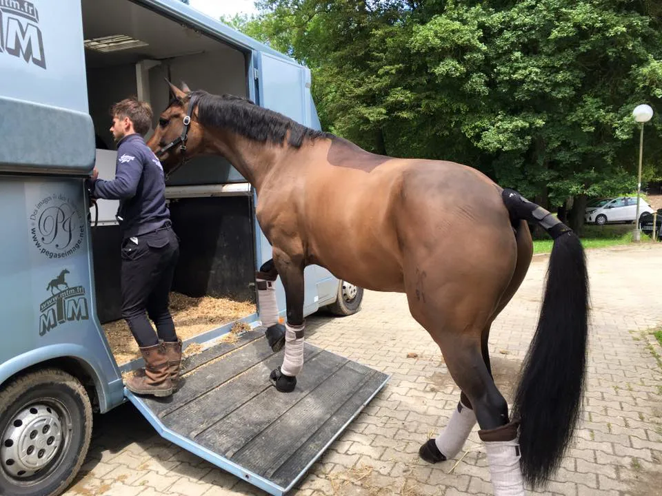 Corentin Pottier et Gotcha ont pris la route pour Hagen aujourd'hui.