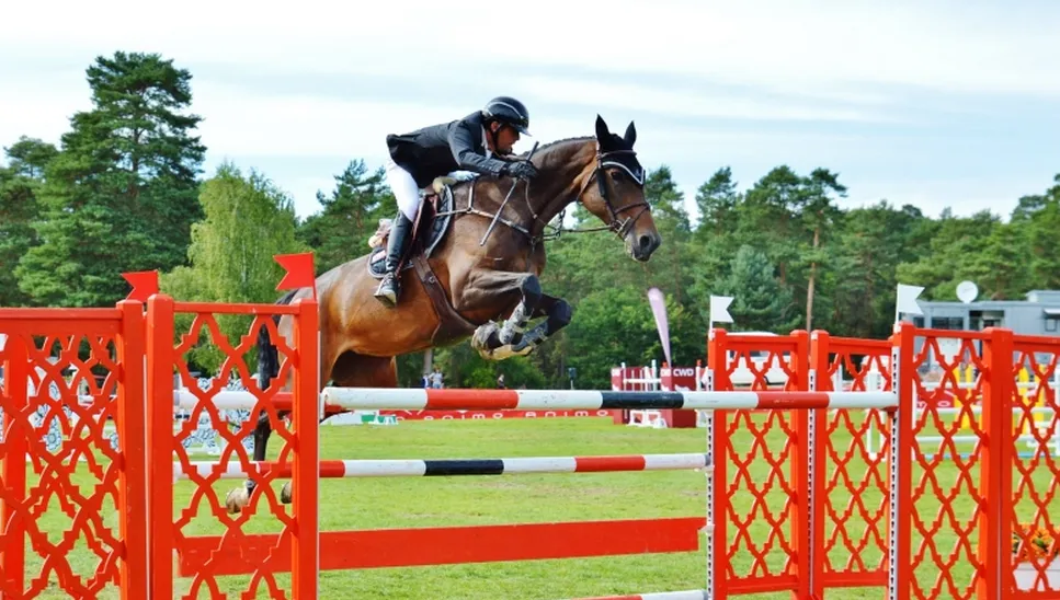 Siamoise Minotière, jument très prometteuse sous la selle de Marc Dilasser.