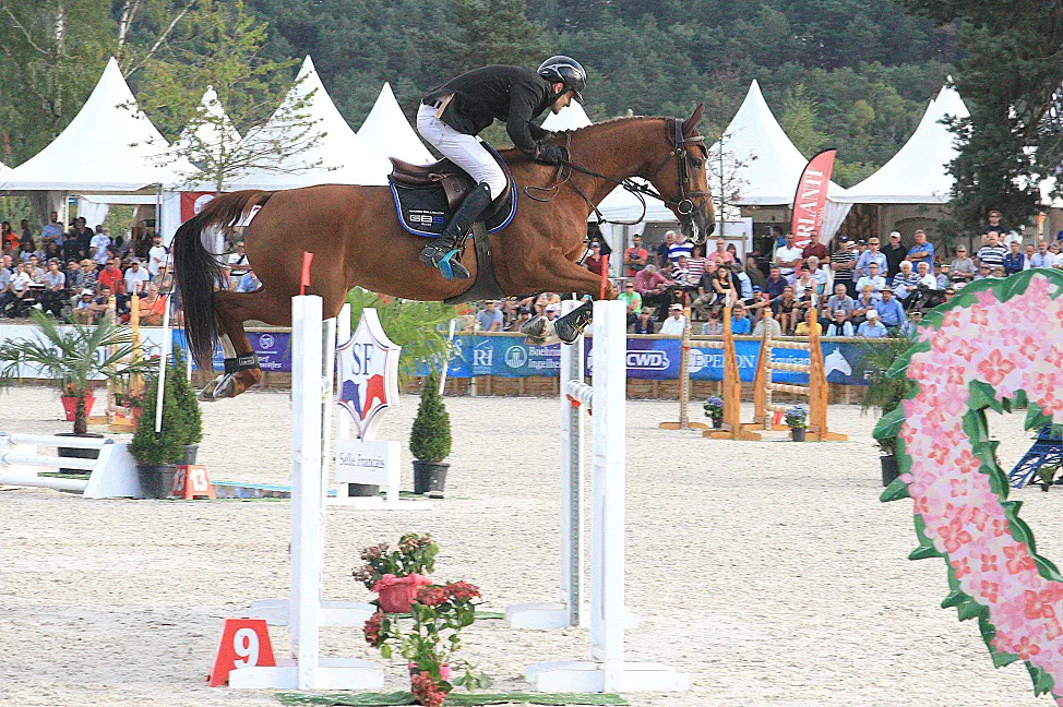 Flore d'Automne, championne des six ans juments