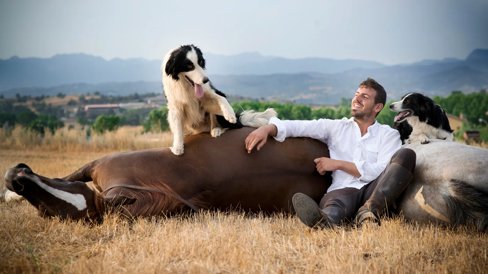 “Il nous suffisait de nous regarder pour savoir ce que nous voulions. Notre relation est difficile à comprendre sans en avoir fait l’expérience”, explique Santi Serra, indissociable de ses Borders Collies.