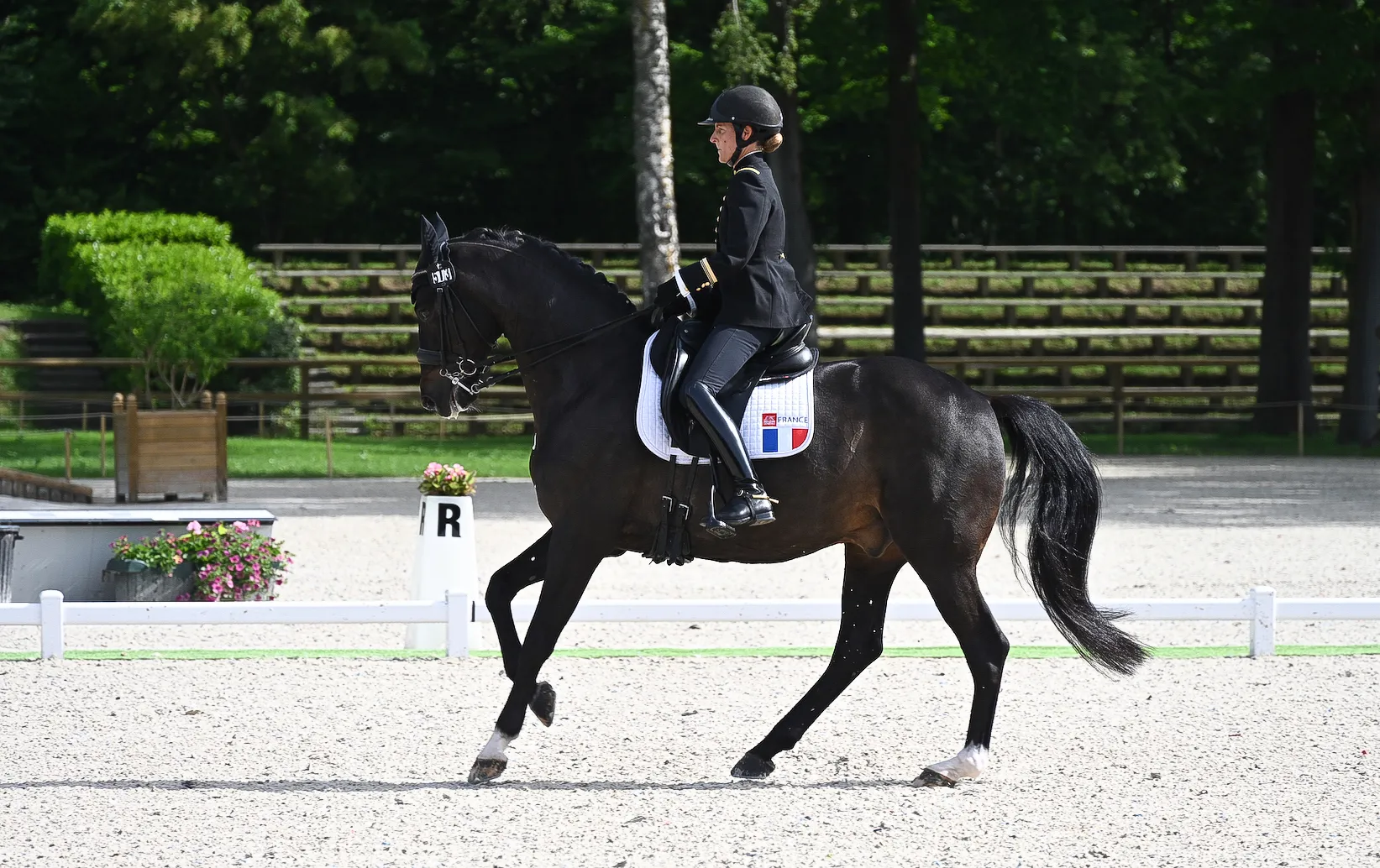 Pauline Basquin et Sertorius de Rima Z*IFCE à Compiègne