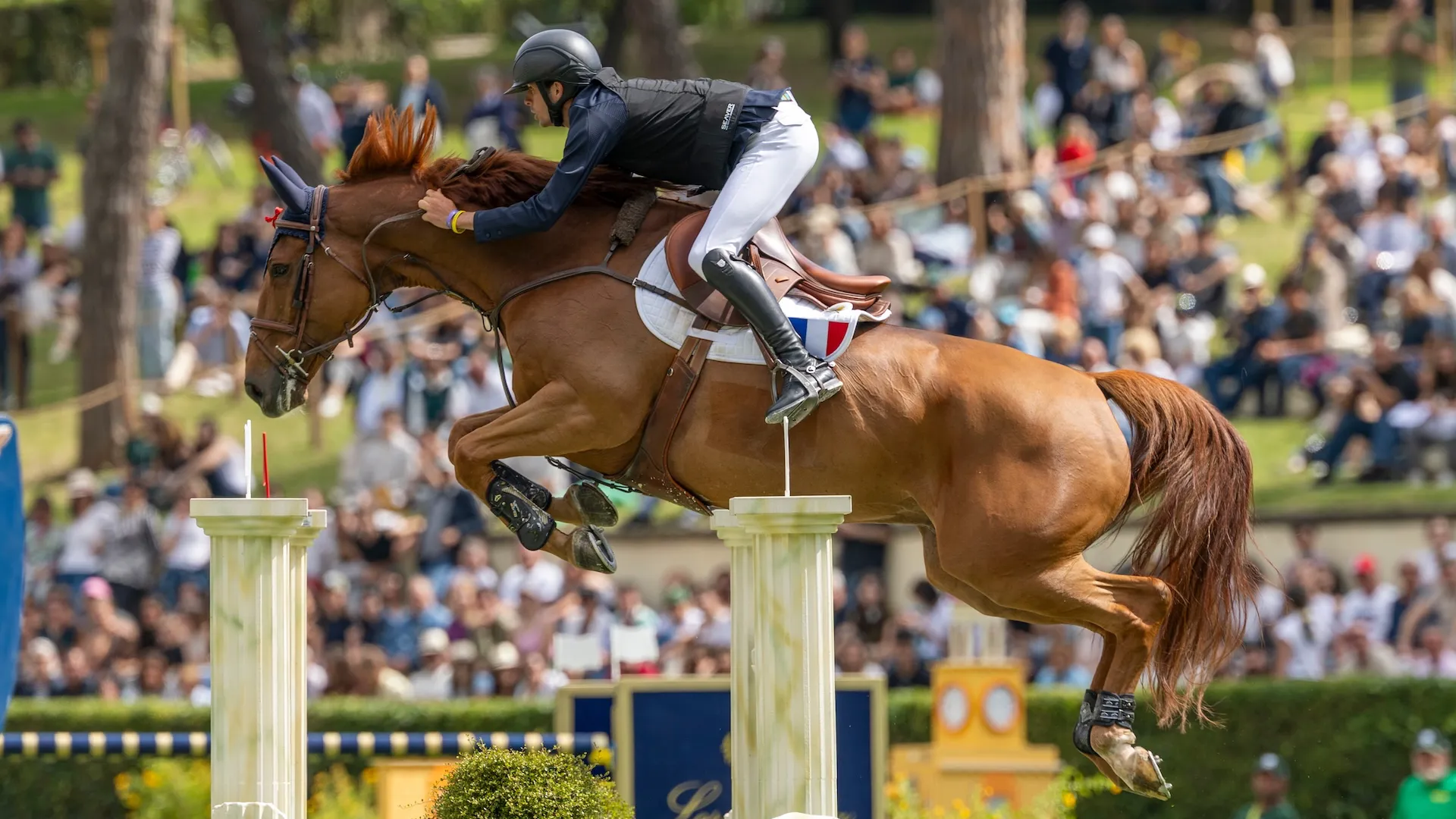 Impeccables dans les Coupes des nations 3* de Mannheim et 5* de Rome, Antoine Ermann et Floyd des Prés ont leur ticket pour La Corogne.