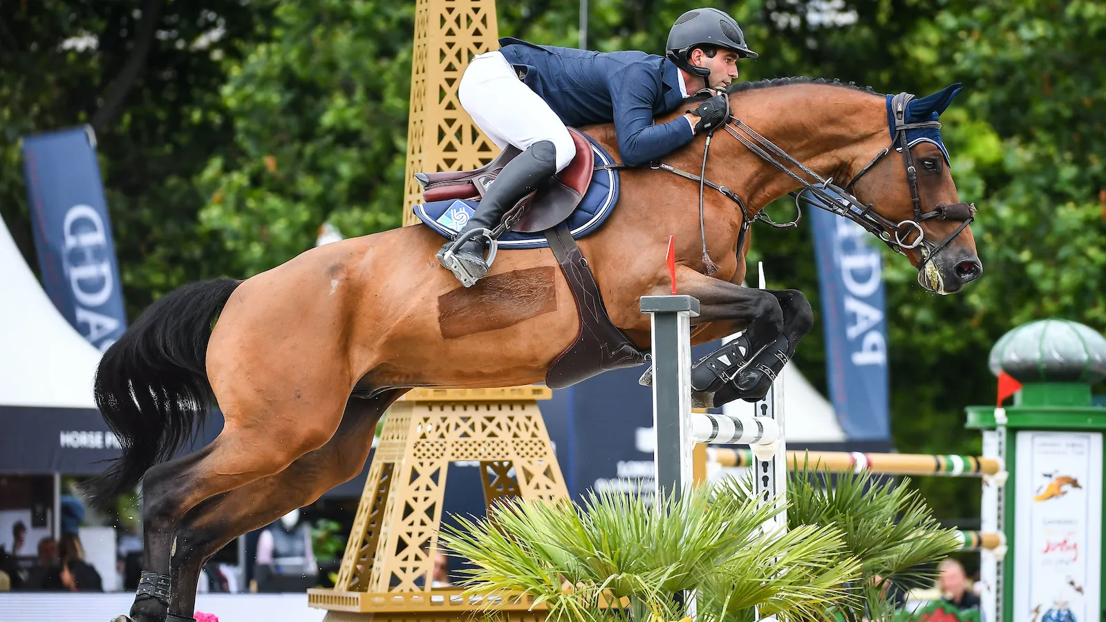 Julien Anquetin pourra également compter sur Cesus de Fougnard dans les prochains mois. 