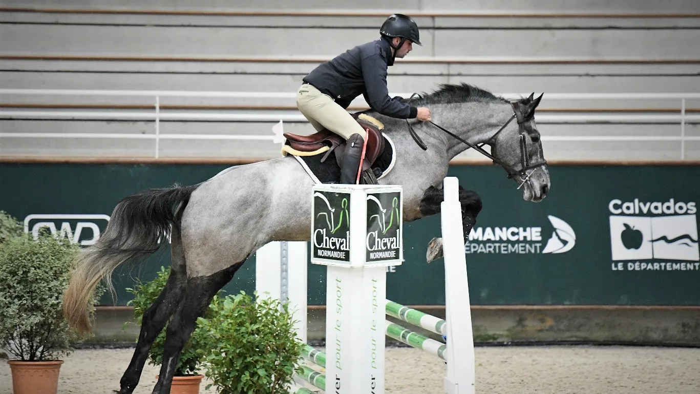Premier circuit d'hiver de valorisation et de commercialisation des jeunes chevaux