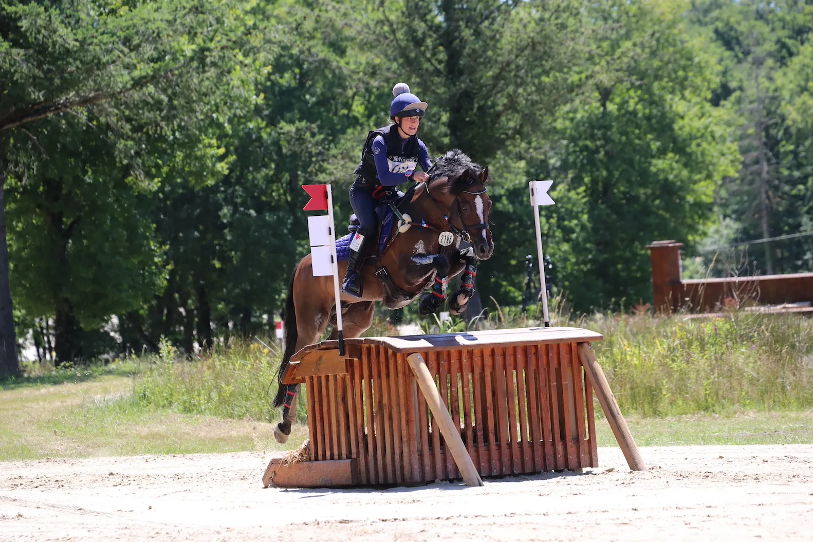 Champions de France 2022 et double champions d'Europe 2021, Maé Rinaldi et Boston du Verdon feront office de favoris en Pologne!