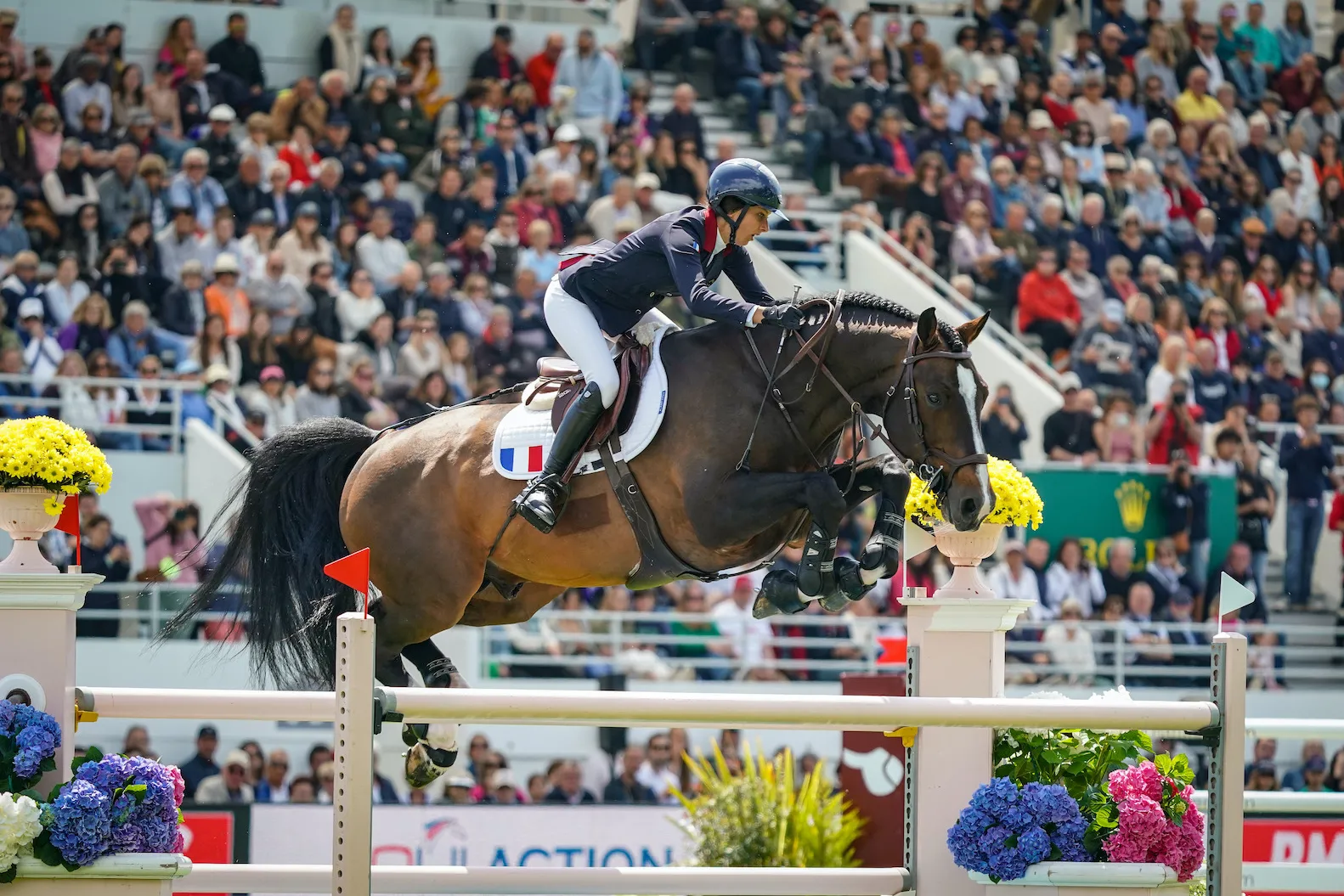 Malgré leur manque d'expérience, vous êtes nombreux à croire en Mégane Moissonnier et son puissant Cordial. 