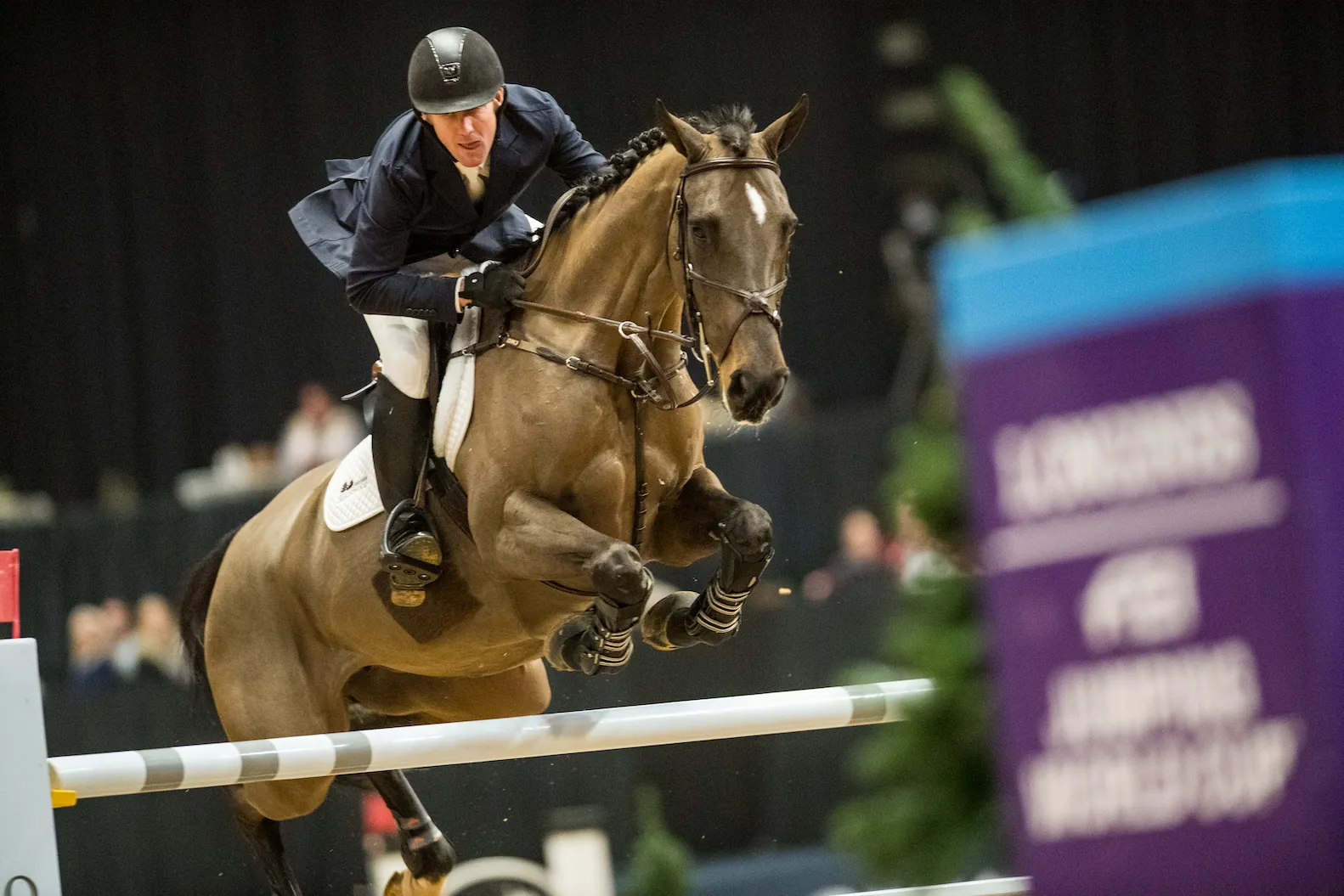 Après Genève, McLain Ward n'est pas passé loin d'un succès à Fort Worth!