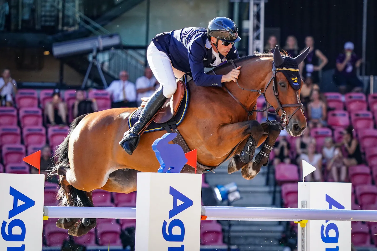 À dix-sept ans, All In se retire en véritable légende.