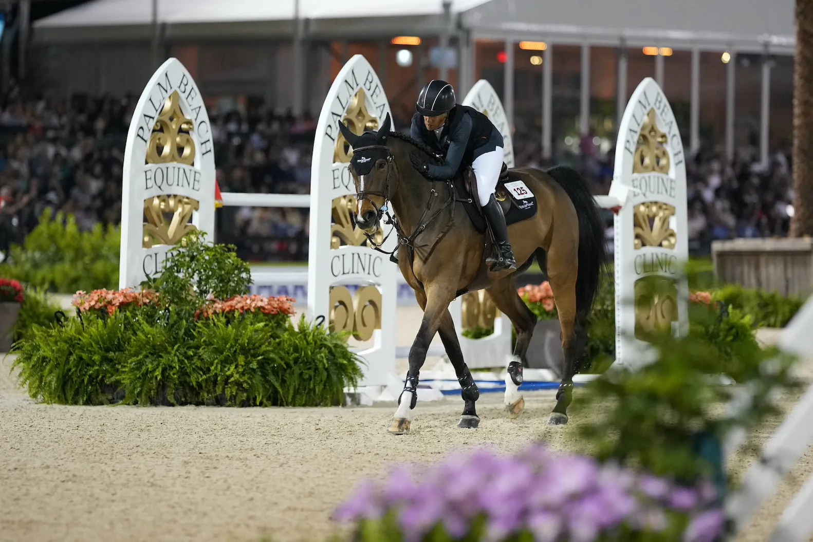 Caresse de fin pour Baloutinue.