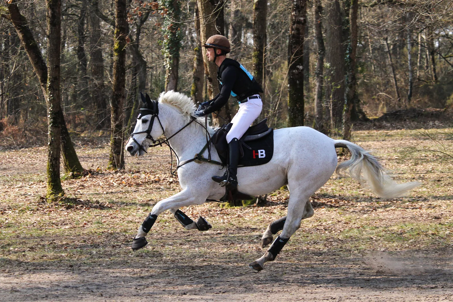 Christopher Six et Totem de Brecey pointent au quatrième rang après le cross.