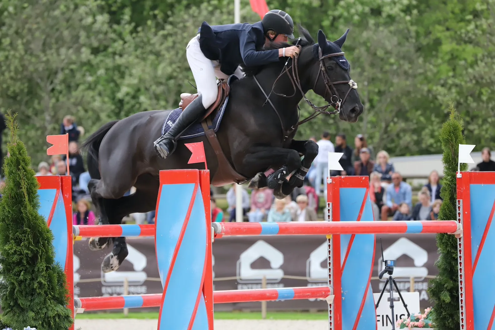 Belle deuxième place pour Léon Brutsaert et Dixy vd Fruitkorf.