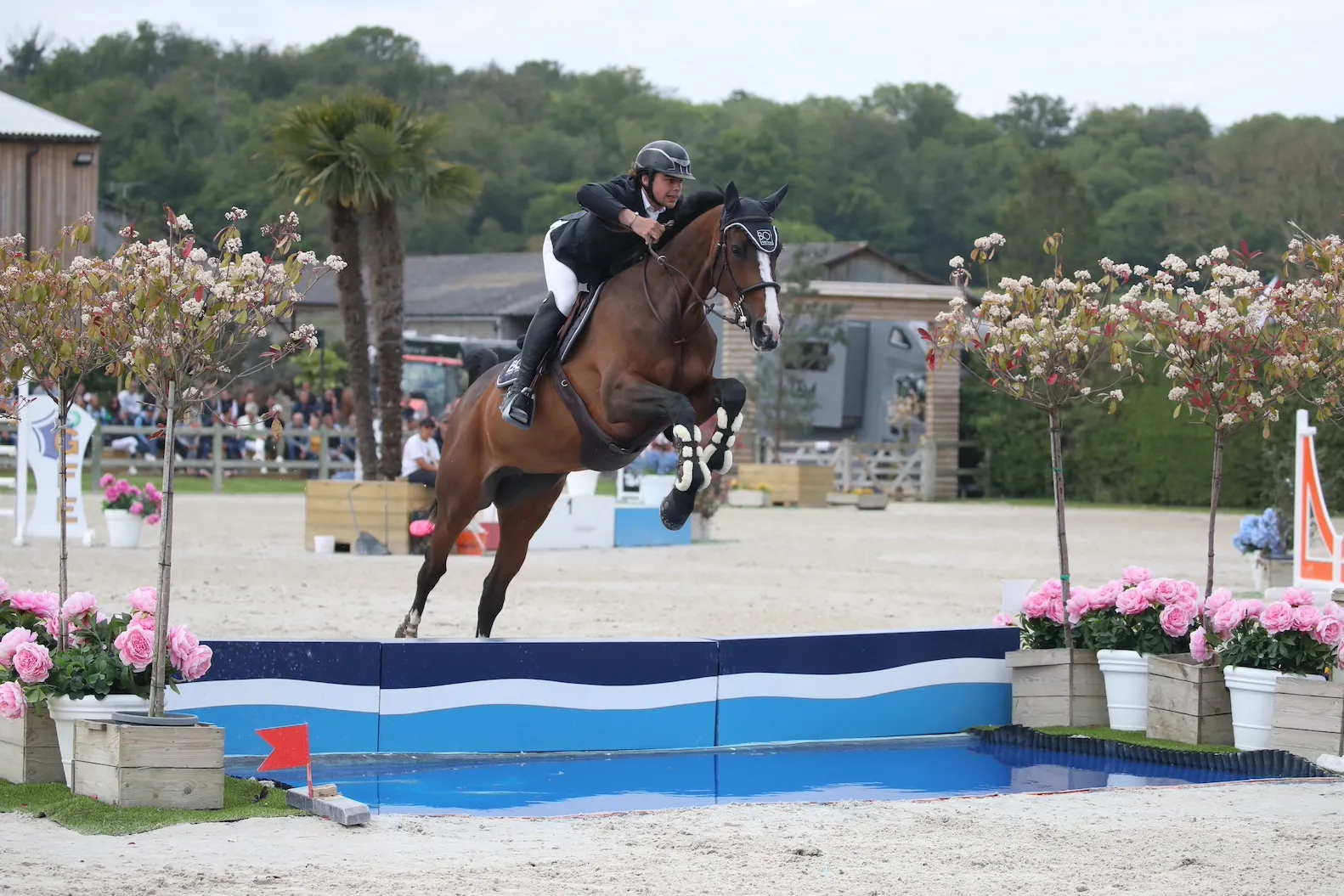 La géniale Charlotte 198 a survolé les quatre parcours de ce championnat sous la selle de Jules Orsolini.