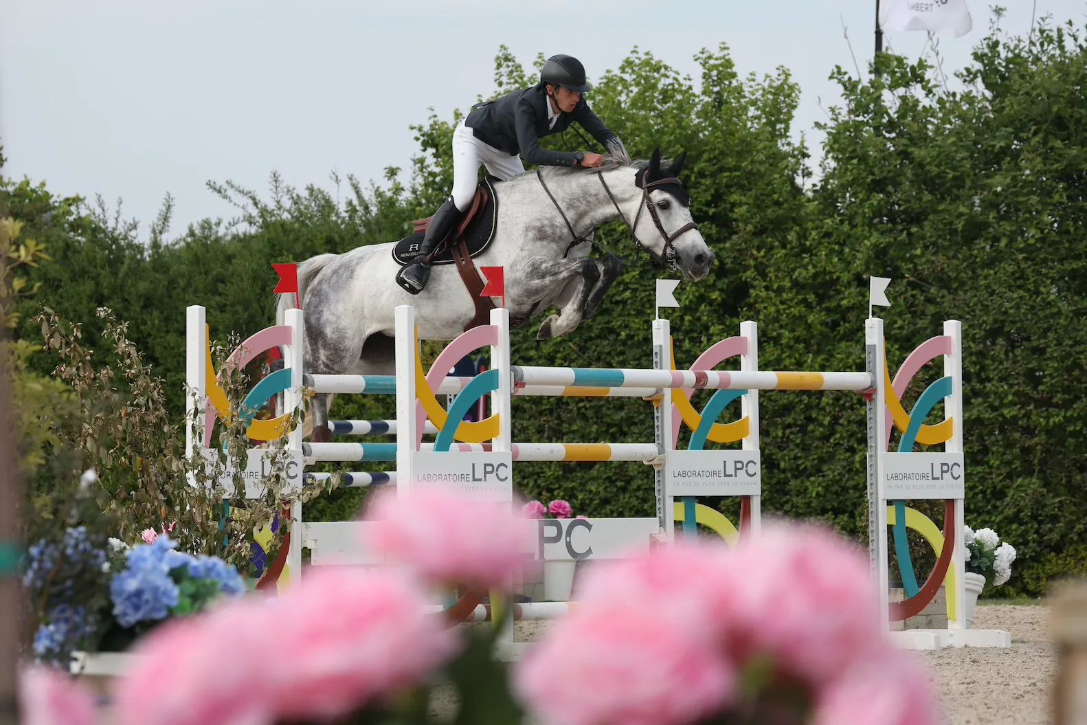 La géniale Galilée a fait briller le Studbook belge à Villers-Vicomte. 