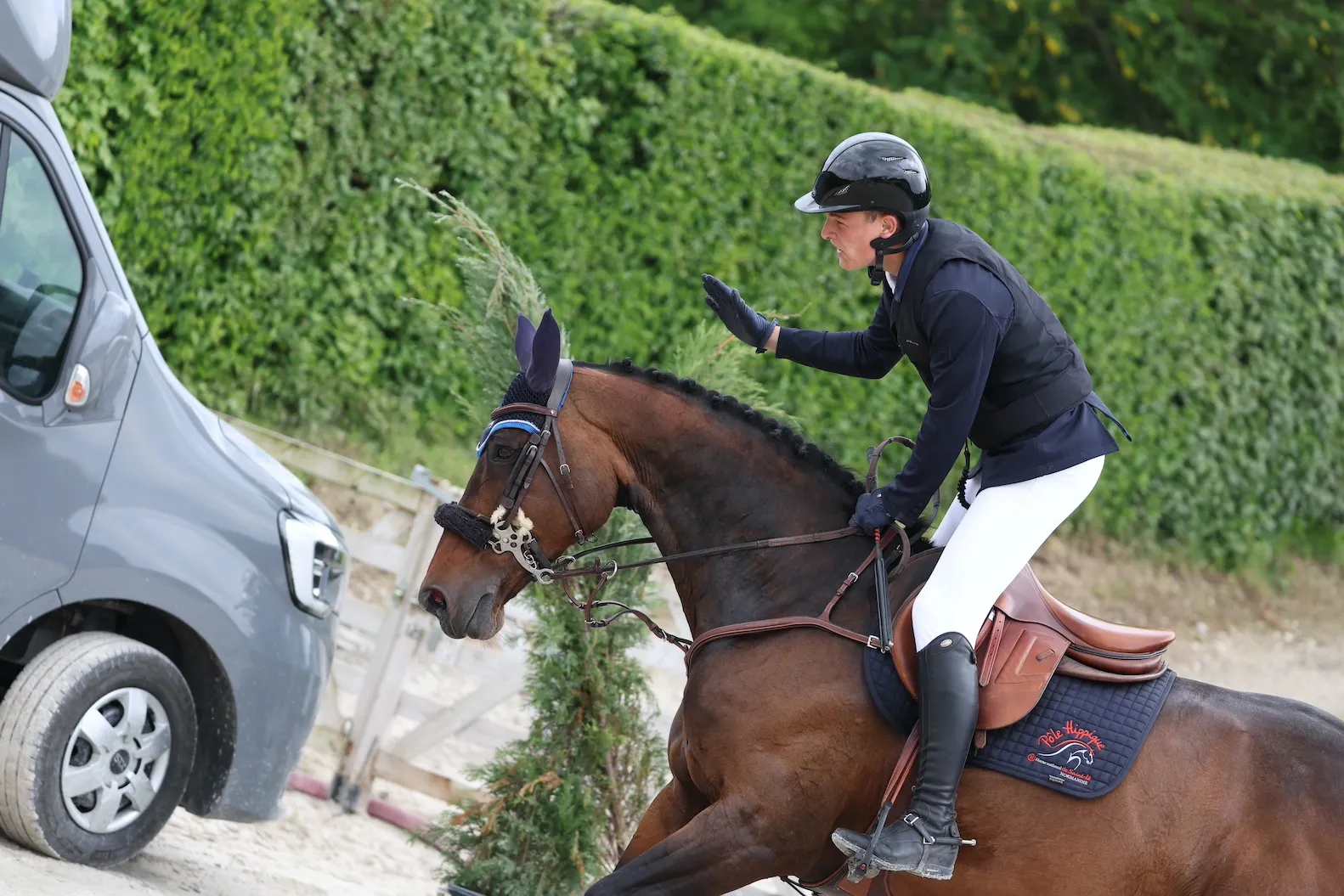 Médaille de bronze pour Timothée Goffinet et Volubie du Givre.